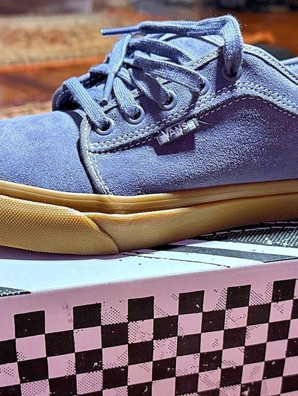 Vans Skate Chukka Low Shoe